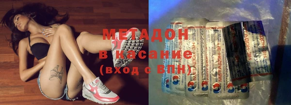 индика Абаза