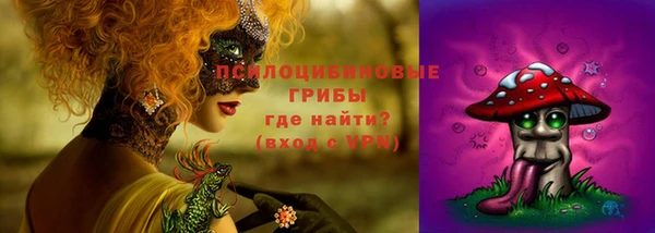 индика Абаза