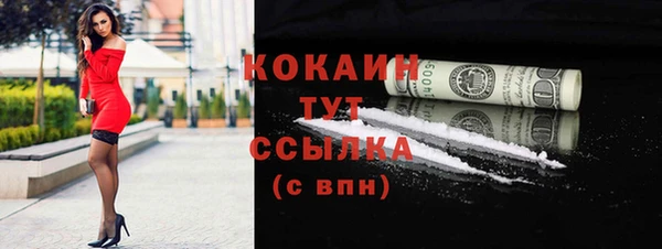 индика Абаза