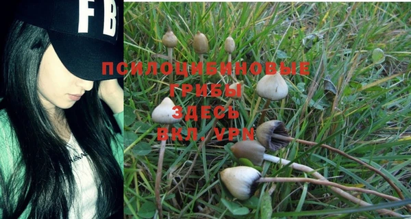 кокаин Алексеевка