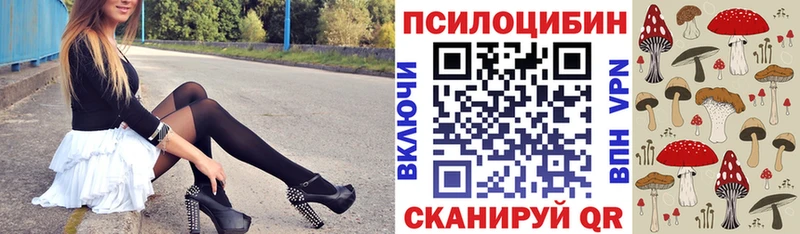 купить наркоту  Ужур  Галлюциногенные грибы Cubensis 